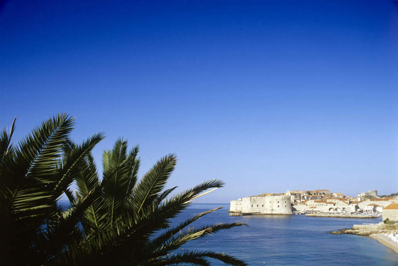 无人,家,横图,室外,白天,正面,旅游,度假,海浪,海洋,美景,植物,棕榈树,叶子,克罗地亚,房屋,屋子,景观,浪花,绿叶,娱乐,楼房,住宅,树,树木,蓝色,绿色,蓝天,天空,自然,海水,天,享受,休闲,嫩叶,景色,放松,生长,晴朗,成长,自然风光,海景,棕榈叶,万里无云,杜布罗夫尼克,克罗地亚共和国,拉古萨,叶,叶片,大海,风浪,海,海水的波动,近岸浪,涌浪,晴空,晴空万里,彩图,房子