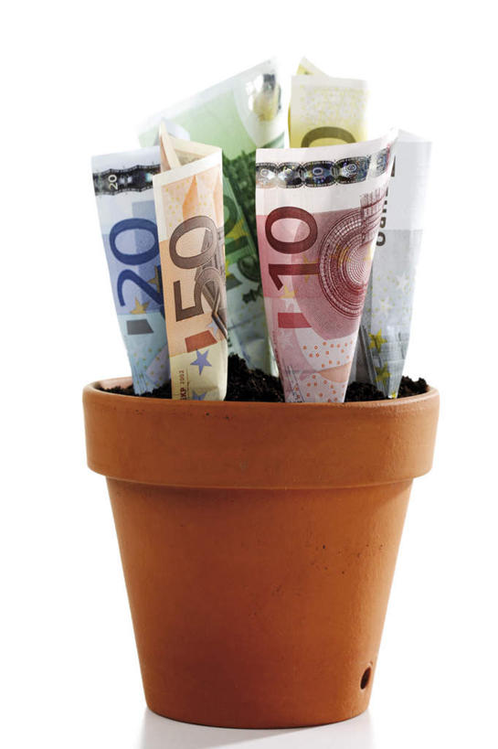 无人,竖图,室内,特写,白天,白色背景,正面,钱,静物,花盆,钱币,欧元,一个,钞票,金融,纸币,摄影,影棚,经济,单个,流通,纸钞,贸易,货币,现金,彩图,影棚拍摄,拍摄