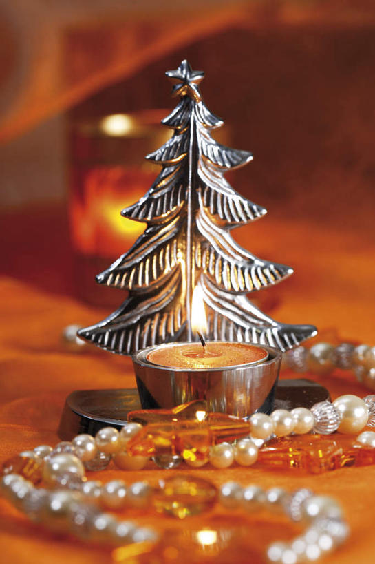 无人,竖图,室内,特写,白天,正面,幸福,纯洁,植物,蜡烛,项链,圣诞节,节日,朦胧,模糊,庆祝,金属,珍珠,圣诞树,文化,树,树木,绿色,自然,庆典,健康,摄影,影棚,生长,成长,纪念,贵重,珍贵,富有,宝贵,有机宝石,彩图,影棚拍摄,拍摄