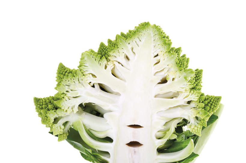 无人,横图,室内,特写,白天,白色背景,正面,蔬菜,切开,新鲜,花菜,花椰菜,西兰花,食品,食物,切,摄影,有机食品,绿色食品,影棚,椰菜花,剖面,切面,罗马花椰菜,青宝塔,甘蓝花,彩图,影棚拍摄,拍摄