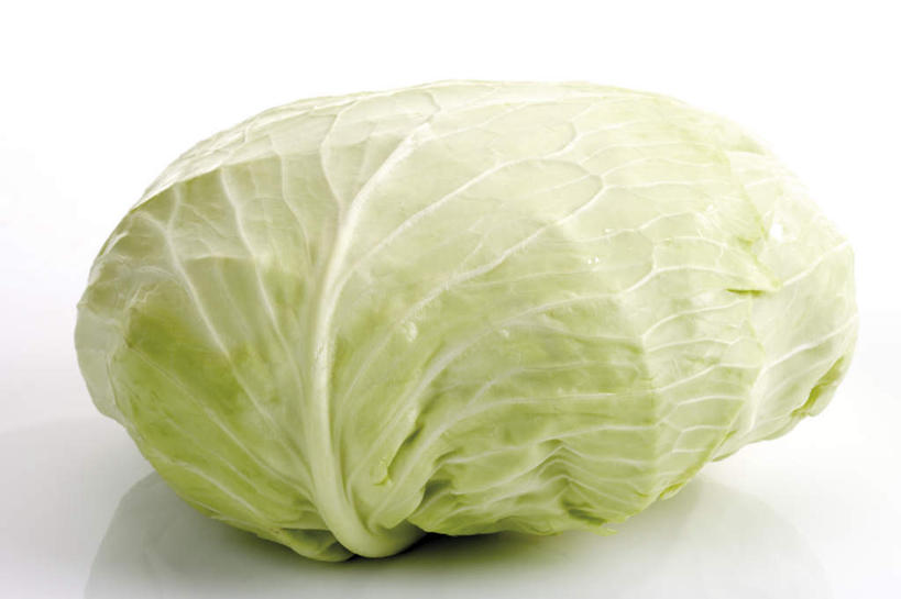 无人,横图,室内,特写,白天,白色背景,正面,蔬菜,椰菜,卷心菜,阴影,新鲜,反射,影子,食品,食物,摄影,有机食品,绿色食品,影棚,结球甘蓝,甘兰,包心菜,彩图,影棚拍摄,拍摄