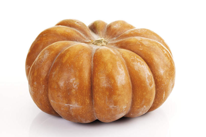 无人,横图,室内,特写,白天,白色背景,正面,南瓜,蔬菜,新鲜,金瓜,食品,番瓜,食物,一个,摄影,有机食品,绿色食品,影棚,单个,麦瓜,倭瓜,彩图,影棚拍摄,拍摄