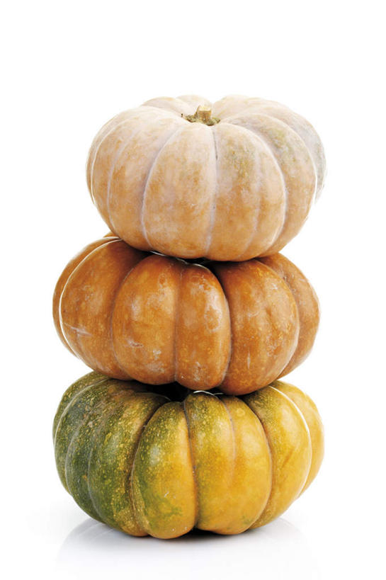 无人,竖图,室内,特写,白天,白色背景,正面,南瓜,蔬菜,一堆,堆叠,堆积,新鲜,金瓜,食品,番瓜,食物,三个,摄影,有机食品,绿色食品,影棚,堆,麦瓜,倭瓜,彩图,影棚拍摄,拍摄