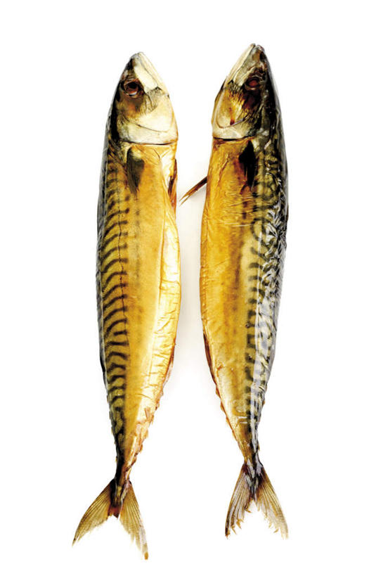 海鲜,无人,竖图,俯视,室内,特写,白天,白色背景,两条,鲭鱼,水产,海洋生物,摄影,影棚,花池鱼,花鲱,花鳀,青花鱼,鲐鲅鱼,油胴鱼,水生动物,海产品,水生物,海底动物,彩图,高角度拍摄,影棚拍摄,拍摄