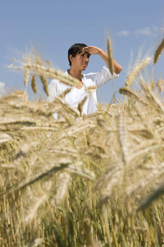 西方人,一个人,农田,站,竖图,室外,白天,仰视,衬衫,庄稼,农作物,小麦,欧洲,欧洲人,仅一个男性,仅一个人,仅一个中年男性,阴影,服装,光线,影子,云,云朵,谷物,云彩,注视,衣服,蓝色,白色,白云,蓝天,天空,阳光,天,观察,看,站着,遮,遮掩,服饰,麦子,晴朗,观看,察看,掩盖,遮挡,衣着,穿着,关注,遮盖,掩饰,衣饰,男人,男性,中年男性,白种人,晴空,站立,半身,彩图,低角度拍摄,衬衣,耕地,庄稼田