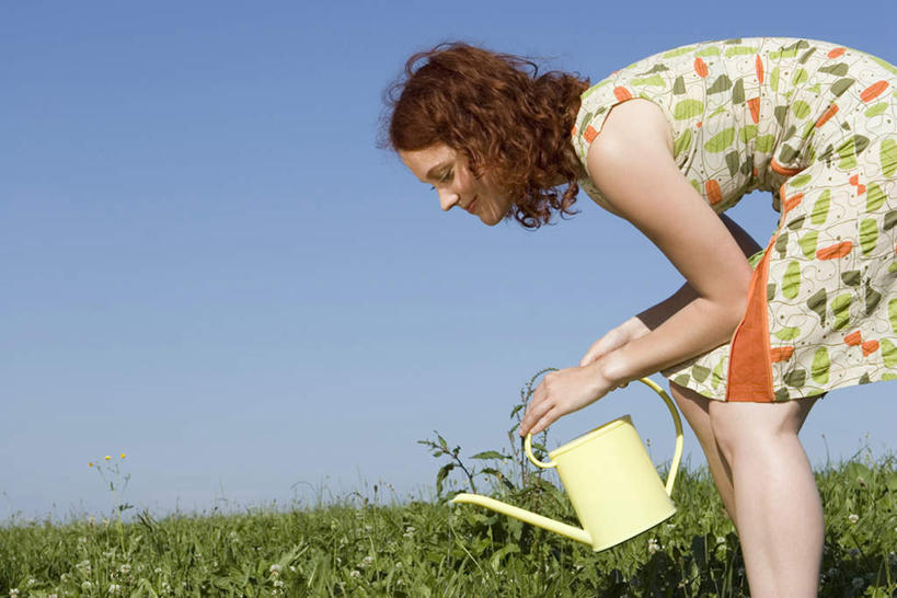 西方人,一个人,站,横图,室外,白天,侧面,裙子,草地,草坪,植物,欧洲,欧洲人,仅一个女性,仅一个人,弯腰,握,阴影,连衣裙,光线,壶,影子,拿,洒水壶,拿着,注视,水壶,草,一个,蓝色,绿色,蓝天,天空,阳光,天,观察,看,站着,仅一个中年女性,握着,晴朗,单个,观看,察看,关注,万里无云,弯身,浇水壶,女人,女性,中年女性,白种人,晴空,晴空万里,站立,半身,彩图