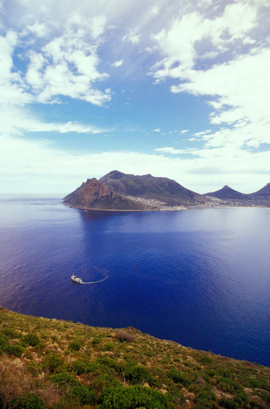 无人,竖图,俯视,航拍,室外,白天,旅游,度假,海浪,海洋,美景,沙滩,植物,船,非洲,南非,阴影,光线,沙子,影子,海岸,景观,浪花,云,云朵,木船,沙地,首都,云彩,娱乐,树,树木,蓝色,绿色,白云,蓝天,天空,阳光,自然,海水,交通工具,天,享受,休闲,景色,放松,生长,晴朗,成长,舟,鸟瞰,自然风光,载具,海景,开普敦,省会,阿非利加洲,立法首都,南非共和国,西开普省,大海,风浪,海,海水的波动,海滩,近岸浪,涌浪,晴空,彩图,高角度拍摄