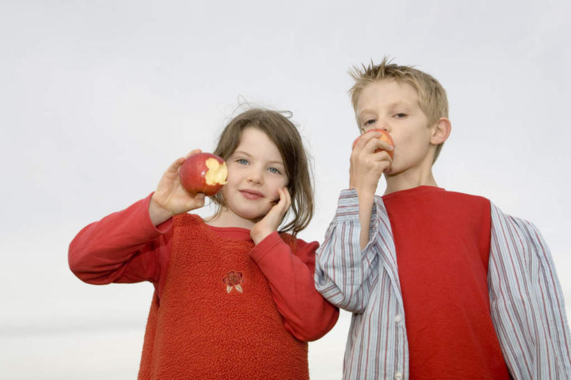 西方人,儿童,两个人,家庭,站,吃,横图,室外,白天,仰视,纯洁,苹果,水果,欧洲,欧洲人,撑,咬,阴影,服装,光线,影子,乌云,云,阴天,云朵,云彩,托腮,注视,小孩,衣服,红色,天空,阳光,天,观察,看,托,站着,温暖,温馨,一家人,可爱,童年,童趣,服饰,观看,咬着,和睦,察看,昏暗,衣着,阴沉,穿着,关注,托下巴,童真,烂漫,无邪,衣饰,天真,男孩,男人,男性,女孩,女人,女性,白种人,嚼,食,站立,半身,彩图,低角度拍摄,融洽,男生,女生
