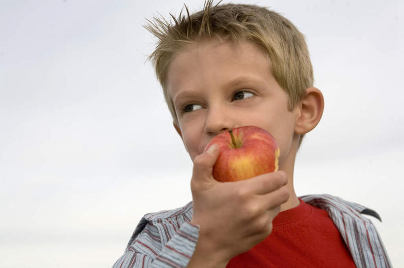 西方人,儿童,一个人,站,吃,横图,室外,白天,仰视,纯洁,苹果,水果,欧洲,欧洲人,仅一个男性,仅一个人,服装,乌云,云,阴天,云朵,云彩,注视,小孩,衣服,红色,天空,天,观察,看,站着,仅一个小孩,可爱,童年,童趣,服饰,观看,察看,昏暗,衣着,阴沉,穿着,关注,童真,烂漫,无邪,衣饰,天真,男孩,男人,男性,白种人,孩子,嚼,食,站立,半身,彩图,低角度拍摄,男生