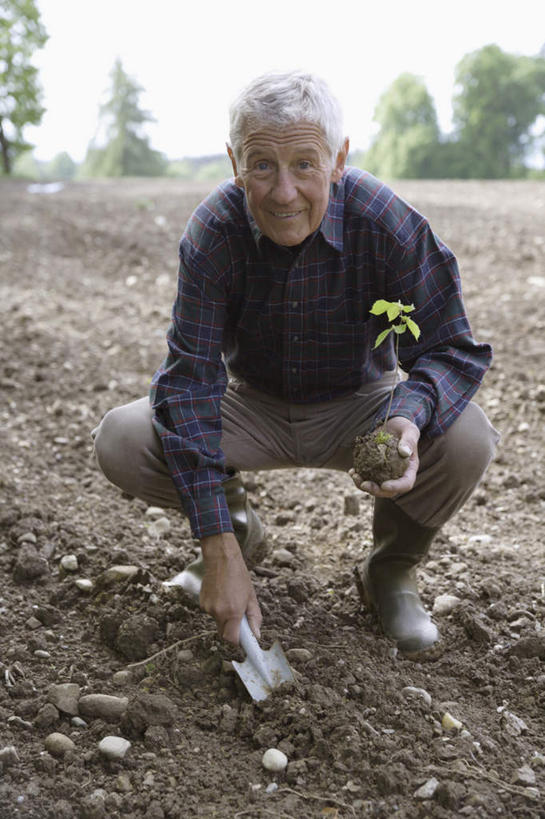 西方人,一个人,蹲,捧,笑,微笑,露齿笑,竖图,室外,白天,正面,植物,叶子,欧洲,欧洲人,仅一个男性,仅一个人,握,服装,铲子,泥土,云,云朵,绿叶,拿,云彩,拿着,注视,衣服,绿色,白云,自然,观察,看,仅一个老年男性,嫩叶,握着,服饰,生长,成长,观看,察看,衣着,穿着,关注,一株,衣饰,老年男性,男人,男性,白种人,叶,叶片,端,端着,蹲着,捧着,手捧,彩图,全身