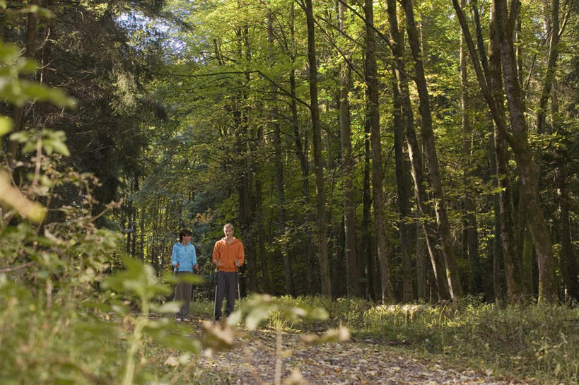 西方人,两个人,家庭,夫妻,站,横图,室外,白天,正面,爱情,锻炼,运动,森林,树林,植物,道路,路,公路,欧洲,欧洲人,服装,工具,器材,交通,浪漫,拿,拿着,注视,树,树木,衣服,绿色,自然,观察,看,站着,温暖,温馨,一家人,器械,恩爱,恋人,服饰,生长,成长,拐杖,观看,和睦,察看,衣着,穿着,关注,登山杖,辅助设备,衣饰,登山棍,体育,男人,男性,女人,女性,中年男性,中年女性,白种人,情侣,马路,站立,彩图,全身,健身,伴侣,融洽