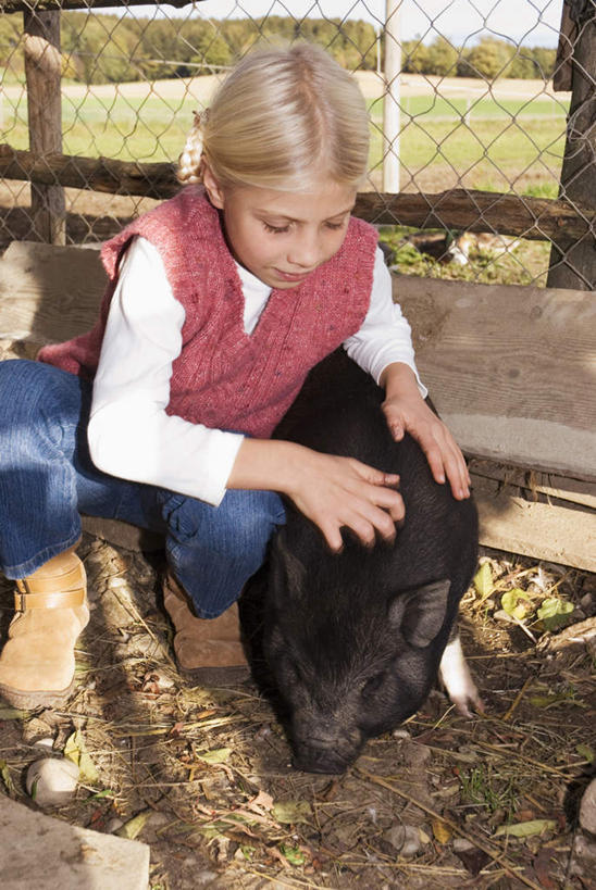 西方人,儿童,一个人,木屋,蹲,摸,竖图,室外,白天,正面,纯洁,野生动物,猪,欧洲,欧洲人,仅一个女性,仅一个人,抚摸,服装,小孩,衣服,动物,仅一个小孩,可爱,童年,童趣,服饰,活泼,衣着,穿着,凶猛,童真,烂漫,无邪,衣饰,天真,女孩,女人,女性,白种人,孩子,触摸,蹲着,接触,半身,彩图,茅舍,茅屋,棚屋,小木屋,小屋,女生