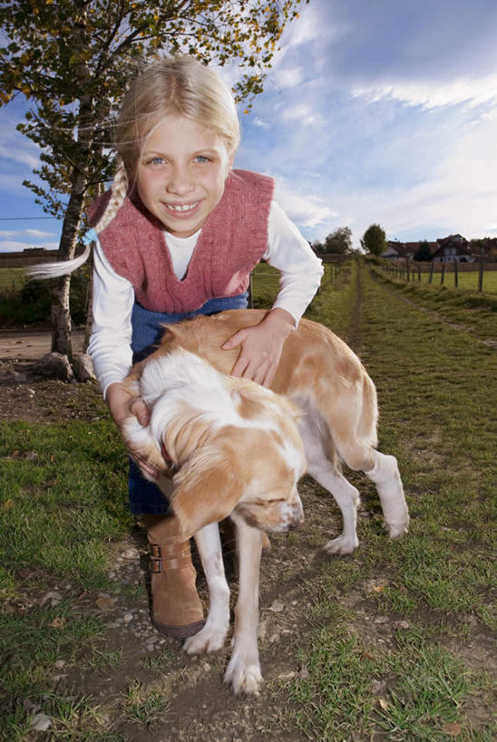 西方人,儿童,一个人,站,摸,竖图,室外,白天,正面,纯洁,草地,草坪,植物,宠物,狗,欧洲,欧洲人,仅一个女性,仅一个人,抚摸,服装,注视,草,树,树木,小孩,衣服,绿色,自然,动物,观察,看,站着,仅一个小孩,可爱,童年,童趣,服饰,生长,成长,观看,察看,衣着,穿着,关注,童真,烂漫,无邪,忠诚,衣饰,天真,女孩,女人,女性,白种人,孩子,犬,触摸,接触,站立,彩图,全身,女生