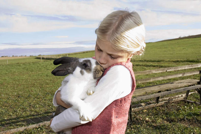 西方人,儿童,一个人,栏杆,站,抱,横图,室外,白天,侧面,纯洁,草地,草坪,植物,野生动物,欧洲,欧洲人,仅一个女性,仅一个人,服装,兔子,栅栏,篱笆,云,云朵,围栏,云彩,注视,护栏,草,小孩,衣服,蓝色,绿色,白云,蓝天,天空,动物,天,观察,看,站着,仅一个小孩,可爱,童年,童趣,服饰,活泼,晴朗,抱着,观看,察看,衣着,穿着,关注,童真,烂漫,无邪,衣饰,天真,女孩,女人,女性,白种人,孩子,晴空,站立,半身,彩图,女生