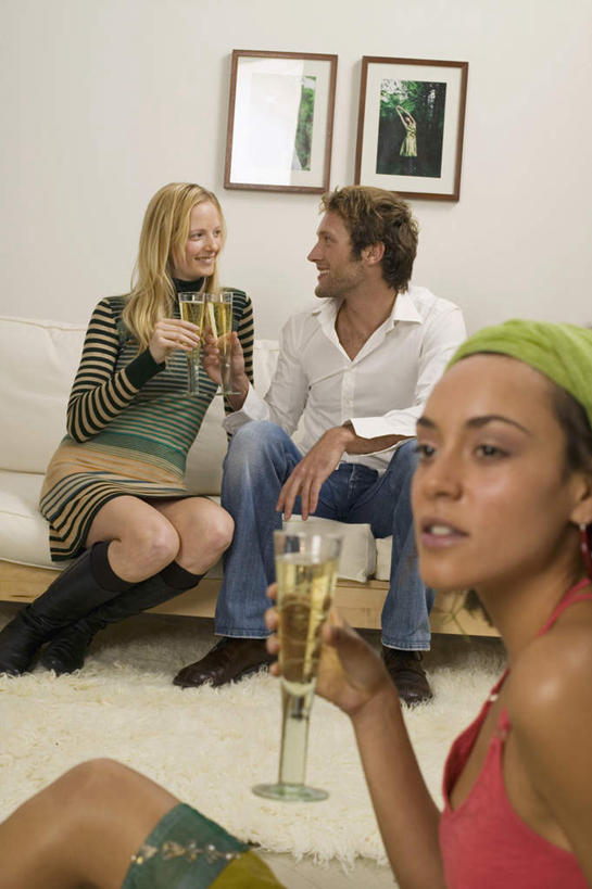 葡萄酒,西方人,三个人,家庭,夫妻,伙伴,朋友,客厅,坐,竖图,室内,白天,正面,爱情,奢侈,快乐,友谊,沙发,杯子,欧洲,欧洲人,握,服装,装饰,盛开,高脚杯,浪漫,拿,花蕾,拿着,注视,玻璃制品,画,酒,花,花瓣,花朵,鲜花,饮料,衣服,酒杯,香槟,花苞,花蕊,观察,看,温暖,温馨,一家人,恩爱,诱惑,握着,恋人,服饰,观看,华丽,修饰,点缀,和睦,察看,起居室,衣着,穿着,关注,布艺沙发,香槟杯,衬托,美观,雅致,雅观,气泡酒,起泡酒,汽酒,衣饰,客堂,友情,男人,男性,年轻男性,年轻女性,女人,女性,白种人,情侣,玻璃杯,装饰画,坐着,半身,彩图,高兴,欢笑,伴侣,融洽