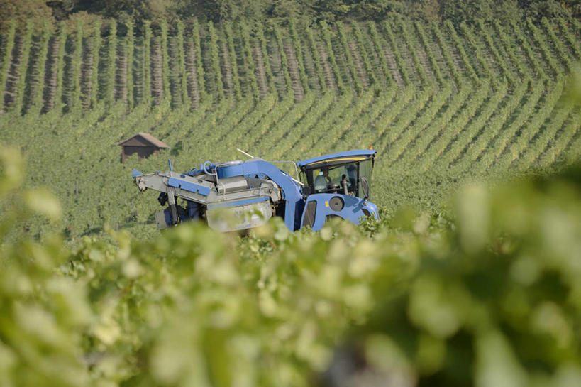 无人,果园,横图,俯视,室外,白天,旅游,度假,美景,山,山脉,田园,卡车,汽车,葡萄,水果,叶子,德国,欧洲,一辆,阴影,朦胧,模糊,新鲜,光线,影子,景观,山峰,生食,食品,果实,绿叶,山峦,娱乐,葡萄园,车,食物,蓝色,阳光,自然,庄园,交通工具,群山,享受,休闲,嫩叶,景色,放松,有机食品,绿色食品,西欧,自然风光,载具,德意志联邦共和国,叶,叶片,山葫芦,蒲桃,草龙珠,彩图,高角度拍摄