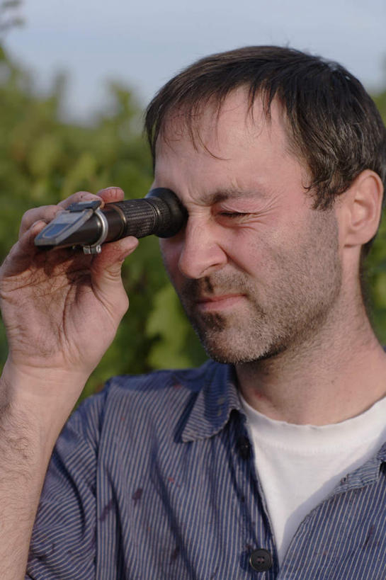 西方人,脸,头,脸颊,手,一个人,科学家,站,竖图,室外,特写,白天,正面,仪器,葡萄,欧洲,欧洲人,仅一个男性,仅一个人,握,服装,检查,朦胧,模糊,分析,科学,拿,拿着,注视,葡萄园,肩膀,仅一个年轻男性,衣服,观察,看,站着,手部,探索,握着,服饰,观看,单手,察看,衣着,穿着,关注,科学研究者,衣饰,折射率,折射计,男人,男性,年轻男性,白种人,头部,脸部,脸蛋,面部,科学工作者,山葫芦,蒲桃,草龙珠,站立,半身,彩图