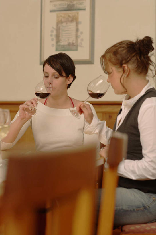 红酒,葡萄酒,西方人,两个人,家庭,伙伴,朋友,餐厅,坐,竖图,室内,白天,正面,友谊,餐桌,桌子,杯子,欧洲,欧洲人,握,服装,朦胧,模糊,高脚杯,红酒杯,酒类,拿,拿着,注视,玻璃制品,酒,饮料,衣服,酒杯,观察,看,温暖,温馨,一家人,红葡萄酒,握着,服饰,餐台,观看,和睦,察看,衣着,穿着,关注,衣饰,友情,年轻女性,女人,女性,白种人,玻璃杯,坐着,半身,彩图,餐馆,饭店,饭馆,融洽