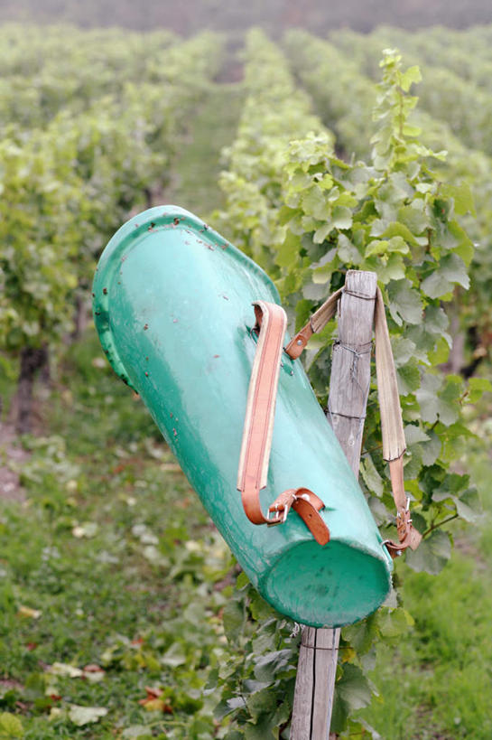 无人,果园,竖图,俯视,室外,白天,旅游,度假,美景,田园,葡萄,水果,叶子,德国,欧洲,阴影,新鲜,光线,桶,影子,塑料,景观,生食,食品,果实,绿叶,娱乐,葡萄园,食物,一个,阳光,自然,容器,塑料制品,庄园,享受,休闲,嫩叶,景色,放松,有机食品,绿色食品,单个,储藏,塑料桶,西欧,储存,自然风光,德意志联邦共和国,叶,叶片,山葫芦,蒲桃,草龙珠,彩图,高角度拍摄,贮存