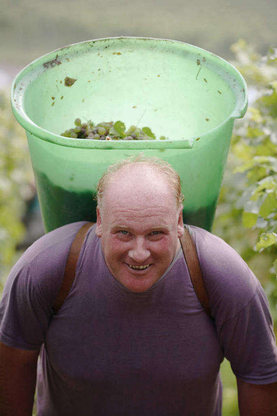 西方人,背,一个人,果园,站,竖图,室外,白天,正面,旅游,度假,美景,田园,葡萄,水果,叶子,德国,欧洲,欧洲人,仅一个男性,仅一个人,仅一个中年男性,一排,阴影,服装,新鲜,整齐,光线,桶,影子,塑料,景观,生食,食品,果实,绿叶,注视,娱乐,葡萄园,食物,排列,衣服,阳光,自然,容器,塑料制品,庄园,背着,观察,看,站着,享受,休闲,嫩叶,景色,放松,服饰,有机食品,绿色食品,观看,储藏,塑料桶,察看,衣着,西欧,储存,穿着,队列,关注,自然风光,德意志联邦共和国,背负,衣饰,男人,男性,中年男性,白种人,叶,叶片,山葫芦,蒲桃,草龙珠,站立,半身,彩图,贮存