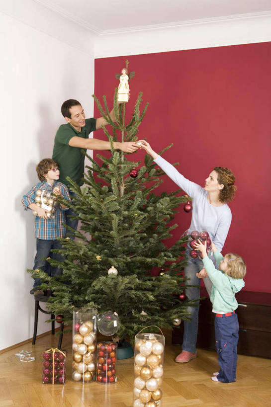 西方人,儿童,中年人,四个人,家庭,夫妻,母亲,父亲,女儿,儿子,站,竖图,室内,白天,正面,爱情,纯洁,植物,欧洲,圣诞节,欧洲人,许多,握,服装,节日,庆祝,装饰,挂饰,圣诞树,圣诞球,浪漫,拿,拿着,注视,文化,球,树,树木,小孩,衣服,绿色,自然,观察,看,站着,庆典,球体,温暖,温馨,父女,父子,母女,母子,一家人,恩爱,父爱,可爱,母爱,童年,童趣,握着,恋人,服饰,生长,成长,观看,纪念,华丽,修饰,点缀,和睦,察看,衣着,穿着,关注,童真,烂漫,无邪,衬托,美观,雅致,雅观,衣饰,天真,男孩,男人,男性,女孩,女人,女性,中年男性,中年女性,白种人,孩子,夫妇,情侣,站立,彩图,全身,伴侣,融洽,男生,女生