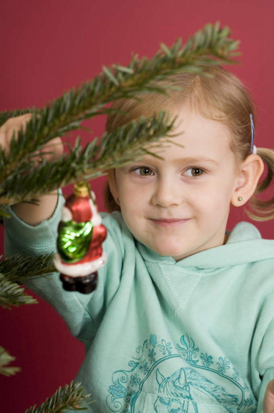 西方人,儿童,一个人,站,竖图,室内,白天,正面,纯洁,植物,欧洲,圣诞节,欧洲人,仅一个女性,仅一个人,握,悬挂,红色背景,服装,节日,庆祝,装饰,圣诞树,拿,拿着,注视,文化,装饰品,树,树木,小孩,衣服,绿色,自然,装饰物,观察,看,站着,仅一个小孩,庆典,可爱,童年,童趣,握着,服饰,生长,成长,观看,纪念,华丽,修饰,点缀,察看,衣着,穿着,关注,饰物,童真,烂漫,无邪,衬托,美观,雅致,雅观,衣饰,天真,女孩,女人,女性,白种人,孩子,站立,半身,彩图,女生