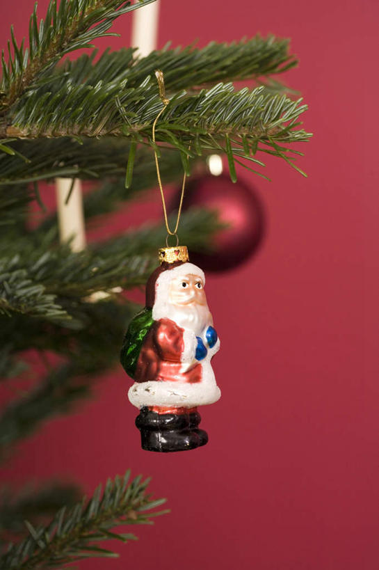 无人,竖图,室内,特写,白天,植物,静物,圣诞节,红色背景,节日,庆祝,装饰,挂饰,圣诞树,圣诞球,文化,球,树,树木,绿色,自然,装饰物,庆典,球体,生长,成长,纪念,华丽,修饰,点缀,衬托,美观,雅致,雅观,彩图