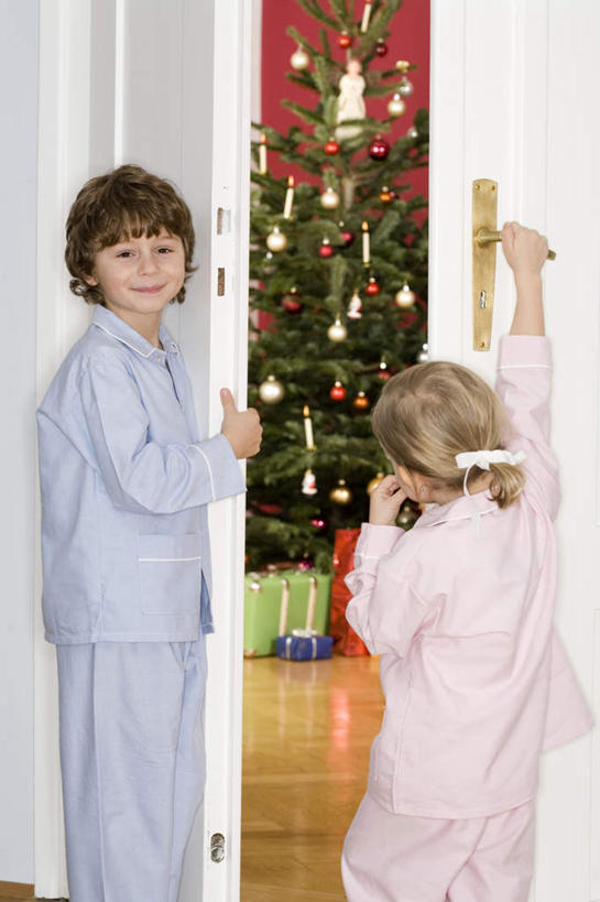 西方人,儿童,两个人,家庭,竖图,室内,白天,正面,纯洁,植物,门,礼盒,礼物,欧洲,圣诞节,欧洲人,悬挂,服装,节日,庆祝,装饰,挂饰,纸盒,圣诞树,圣诞球,文化,盒子,球,树,树木,小孩,衣服,绿色,自然,包装盒,礼品盒,门框,打开,庆典,球体,温暖,温馨,一家人,童年,童趣,服饰,礼品,生长,成长,纪念,华丽,修饰,点缀,和睦,衣着,穿着,童真,烂漫,无邪,衬托,美观,雅致,雅观,衣饰,天真,男孩,男人,男性,女孩,女人,女性,白种人,孩子,半身,彩图,融洽,男生,女生