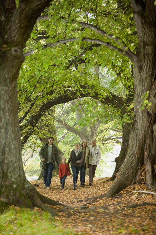 西方人,儿童,中年人,老年人,夫妻,母亲,父亲,女儿,祖母,祖父,三代同堂,走,笑,微笑,露齿笑,竖图,室外,白天,正面,爱情,旅游,度假,纯洁,秋季,树林,植物,欧洲,欧洲人,五个人,服装,许多人,浪漫,注视,娱乐,祖孙三代,树,树木,小孩,衣服,绿色,自然,观察,看,一群人,享受,休闲,温暖,温馨,父女,母女,恩爱,放松,父爱,可爱,母爱,童年,童趣,恋人,服饰,生长,奶奶,爷爷,成长,观看,祖孙,和睦,察看,衣着,穿着,关注,户外运动,童真,烂漫,无邪,外婆,外孙女,外祖母,外公,外祖父,衣饰,天真,老年男性,老年女性,男人,男性,女孩,女人,女性,中年男性,中年女性,白种人,孩子,夫妇,情侣,全家福,孙女,秋,秋天,步行,散步,走路,彩图,全身,伴侣,融洽,女生,爸爸,多代同堂,妈妈