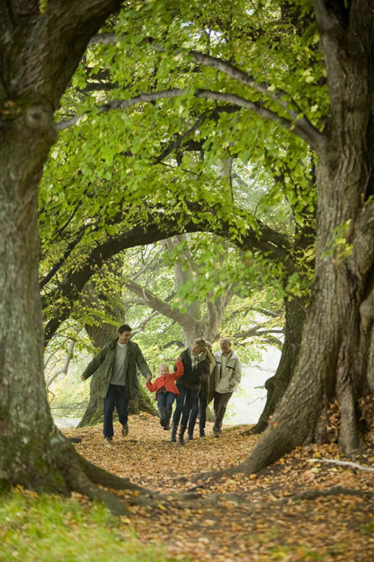 西方人,儿童,中年人,老年人,夫妻,母亲,父亲,女儿,祖母,祖父,三代同堂,握手,笑,微笑,露齿笑,竖图,室外,白天,正面,爱情,旅游,度假,纯洁,秋季,树林,植物,欧洲,欧洲人,五个人,服装,许多人,半空,浪漫,注视,娱乐,祖孙三代,树,树木,小孩,衣服,绿色,自然,观察,看,一群人,享受,休闲,温暖,温馨,父女,母女,恩爱,放松,父爱,可爱,母爱,腾空,童年,童趣,恋人,服饰,生长,奶奶,爷爷,成长,观看,祖孙,和睦,察看,衣着,穿着,关注,户外运动,童真,烂漫,无邪,外婆,外孙女,外祖母,外公,外祖父,衣饰,天真,老年男性,老年女性,男人,男性,女孩,女人,女性,中年男性,中年女性,白种人,孩子,夫妇,情侣,全家福,孙女,秋,秋天,搀手,拉手,手搀手,手拉手,手牵手,手握手,彩图,全身,伴侣,融洽,女生,爸爸,多代同堂,妈妈