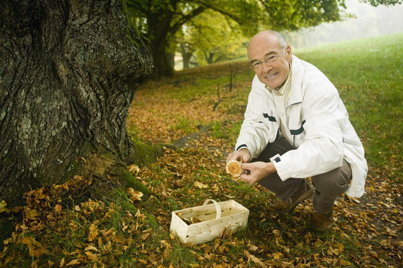 西方人,一个人,蹲,笑,交叉,微笑,露齿笑,横图,室外,白天,正面,草地,树林,植物,竹子,蔬菜,叶子,欧洲,欧洲人,仅一个男性,仅一个人,戴,竹制,服装,新鲜,编织,篮子,眼镜,菌菇,蘑菇,食品,枯叶,落叶,菌类,注视,草,树,树木,食物,衣服,绿色,自然,竹篮,观察,看,仅一个老年男性,食用菌,服饰,有机食品,绿色食品,生长,成长,观看,老花镜,竹条,交织,察看,竹制品,衣着,穿着,关注,衣饰,穿插,远视眼镜,老年男性,男人,男性,白种人,叶,叶片,蹲着,彩图,全身