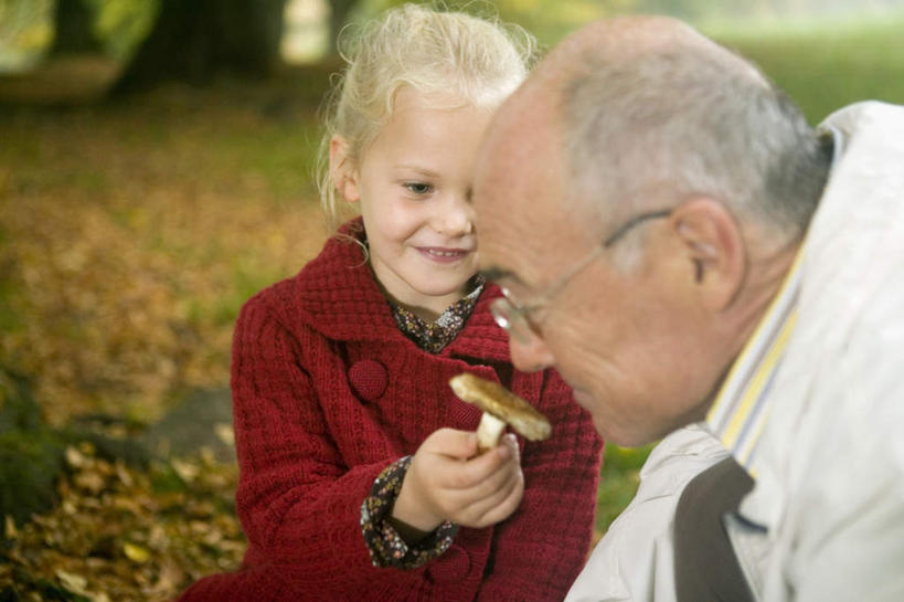 西方人,儿童,老年人,两个人,家庭,祖父,笑,微笑,露齿笑,横图,室外,白天,正面,纯洁,草地,树林,植物,蔬菜,叶子,欧洲,欧洲人,戴,服装,新鲜,眼镜,菌菇,蘑菇,食品,枯叶,落叶,拿,菌类,拿着,闻,草,树,树木,食物,小孩,衣服,绿色,自然,温暖,温馨,一家人,食用菌,可爱,童年,童趣,服饰,有机食品,绿色食品,生长,爷爷,成长,祖孙,老花镜,和睦,嗅,衣着,穿着,童真,烂漫,无邪,外孙女,外公,外祖父,衣饰,远视眼镜,天真,老年男性,男人,男性,女孩,白种人,孩子,孙女,叶,叶片,半身,彩图,融洽,女生