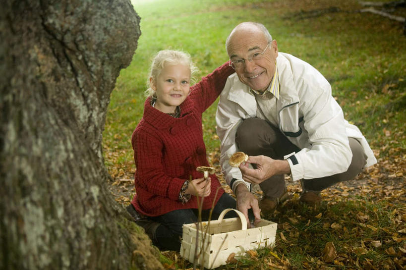 西方人,儿童,老年人,两个人,家庭,祖父,蹲,抱,笑,交叉,微笑,露齿笑,横图,室外,白天,正面,纯洁,草地,树林,植物,竹子,蔬菜,叶子,欧洲,欧洲人,戴,竹制,服装,新鲜,编织,篮子,眼镜,菌菇,蘑菇,食品,枯叶,落叶,拿,菌类,拿着,注视,草,树,树木,食物,小孩,衣服,绿色,自然,竹篮,观察,看,温暖,温馨,一家人,食用菌,可爱,童年,童趣,服饰,有机食品,绿色食品,生长,爷爷,成长,抱着,观看,祖孙,老花镜,竹条,交织,和睦,察看,竹制品,搂着,衣着,穿着,关注,童真,烂漫,无邪,外孙女,外公,外祖父,衣饰,穿插,远视眼镜,天真,老年男性,男人,男性,女孩,白种人,孩子,孙女,叶,叶片,蹲着,搂,搂抱,彩图,全身,融洽,女生