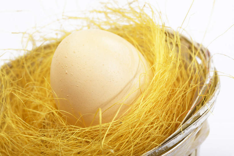 无人,横图,室内,特写,白天,白色背景,正面,桌面,桌子,复活节,节日,庆祝,鸟巢,蛋,文化,一个,黄色,庆典,摄影,影棚,单个,纪念,彩蛋,复活节彩蛋,彩图,影棚拍摄,拍摄