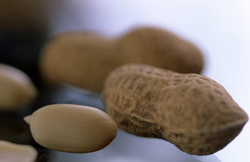 无人,横图,室内,特写,白天,正面,花生,许多,阴影,朦胧,模糊,反射,影子,坚果,果实,果壳,干果,摄影,影棚,花生米,花生豆,彩图,影棚拍摄,拍摄