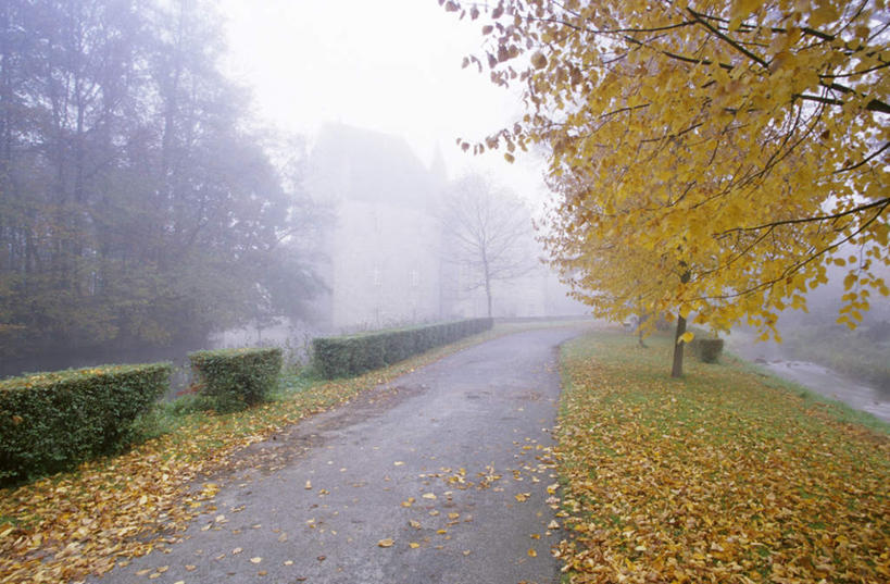 无人,横图,室外,白天,正面,旅游,度假,美景,植物,雾,道路,路,公路,叶子,一堆,许多,堆叠,堆积,环保,朦胧,模糊,景观,枯叶,落叶,防护,交通,娱乐,树,树木,绿色,蓝天,天空,自然,天,享受,休闲,景色,放松,生长,成长,堆,迷雾,美好,美妙,自然风光,间隔,美观,雅观,绿篱,生篱,树篱,植篱,叶,叶片,大雾,马路,彩图