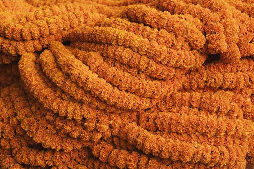 无人,横图,俯视,室内,特写,白天,爱情,一堆,许多,阴影,堆叠,堆积,环绕,盛开,围绕,反射,影子,花蕾,环抱,花,花瓣,花朵,鲜花,花苞,花蕊,橙色,菊花,堆,吉祥,高洁,长寿,怀恋,清净,真情,寿客,秋菊,萦绕,彩图,高角度拍摄