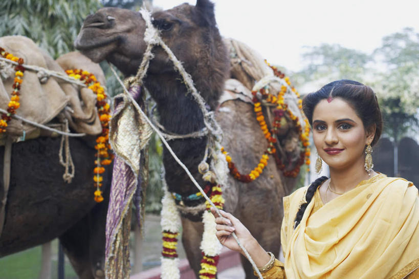 一个人,站,笑,微笑,横图,室外,白天,正面,民族服装,旅游,度假,树林,植物,道路,路,公路,野生动物,亚洲,仅一个年轻女性,仅一个女性,仅一个人,握,朦胧,模糊,装饰,交通,拿,拿着,注视,娱乐,骆驼,树,树木,绿色,自然,动物,绳子,观察,看,站着,享受,休闲,放松,可爱,握着,服饰,活泼,生长,成长,观看,牵着,飘逸,察看,庄重,关注,追求,凶猛,纱丽,雅致,民族文化,纱丽服,清婉,妍丽,年轻女性,女人,女性,亚洲人,印度人,马路,玩耍,站立,半身,彩图,传统服装,民俗服,奢华