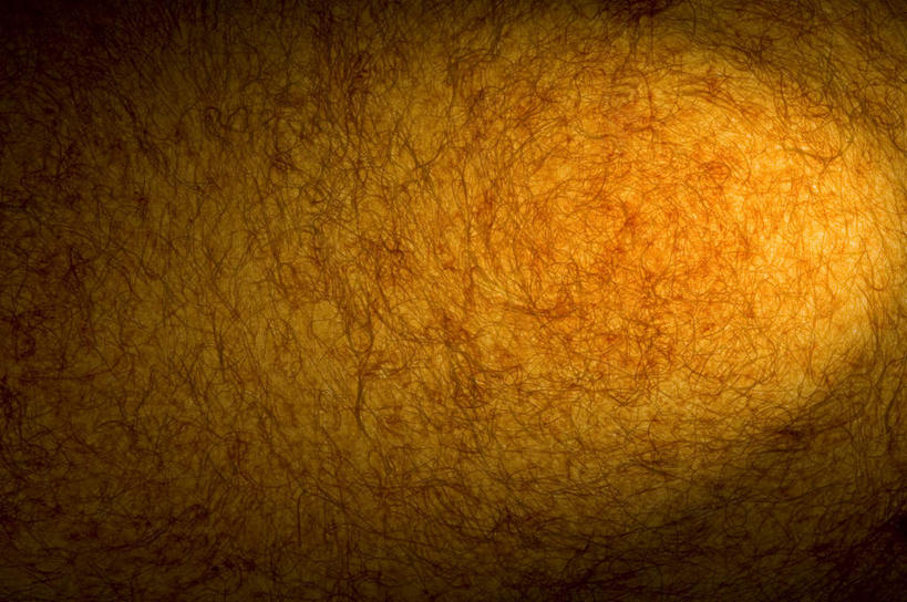 无人,横图,室内,特写,白天,正面,静物,阴影,透明,反射,纹路,图案,纹理,影子,辉煌,黄色,健康,活泼,希望,暖色,光辉,肌理,光明,功名,轻快,彩图