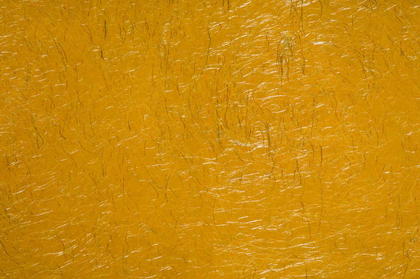 无人,横图,室内,特写,白天,正面,静物,阴影,透明,反射,纹路,图案,纹理,影子,辉煌,黄色,健康,活泼,希望,暖色,光辉,肌理,光明,功名,轻快,彩图