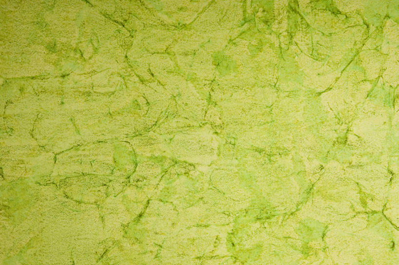 无人,横图,室内,特写,白天,正面,静物,阴影,新鲜,反射,纹路,图案,纹理,影子,绿色,青春,生命,和平,安详,肌理,冷色,彩图