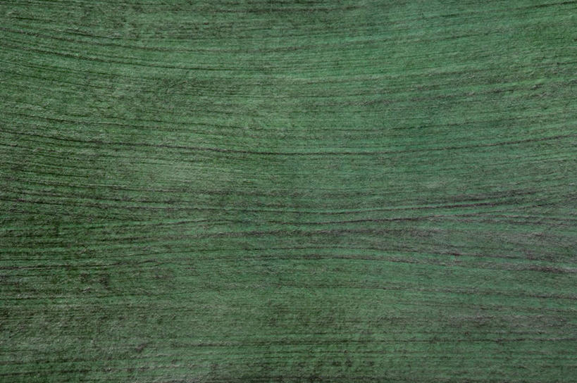 无人,横图,室内,特写,白天,正面,静物,阴影,花纹,新鲜,反射,纹路,图案,纹理,影子,绿色,青春,生命,和平,安详,肌理,冷色,彩图