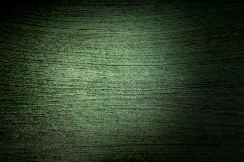 无人,横图,室内,特写,白天,正面,静物,阴影,花纹,新鲜,反射,纹路,图案,纹理,影子,绿色,青春,生命,和平,安详,肌理,冷色,彩图