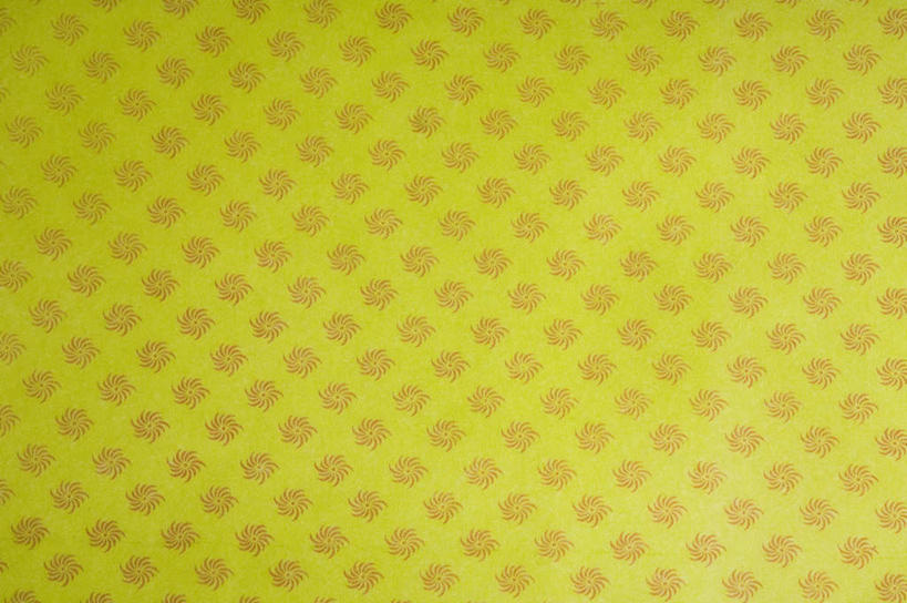 无人,横图,室内,特写,白天,正面,重复,静物,阴影,花纹,新鲜,反射,纹路,图案,纹理,影子,黄色,绿色,青春,生命,和平,安详,肌理,冷色,反复,彩图