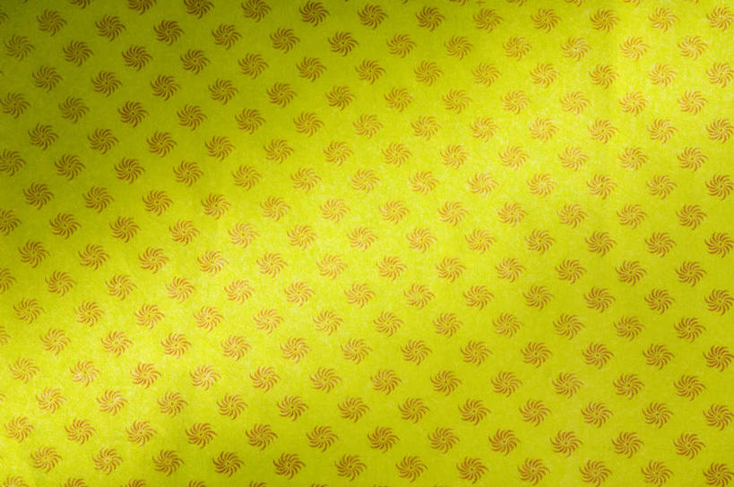 无人,横图,室内,特写,白天,正面,重复,静物,阴影,花纹,新鲜,反射,纹路,图案,纹理,影子,黄色,绿色,青春,生命,和平,安详,肌理,冷色,反复,彩图