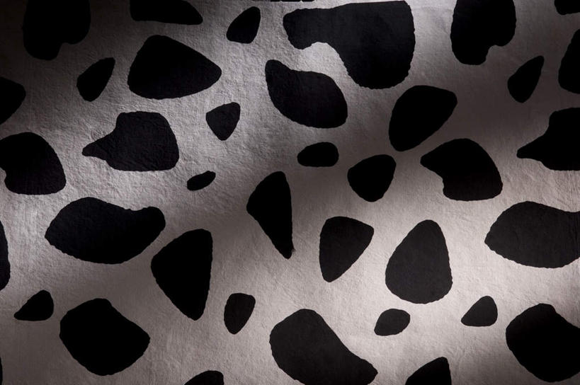 无人,横图,室内,特写,白天,正面,神秘,静物,阴影,花纹,反射,纹路,图案,纹理,影子,斑点,黑点,白色,黑色,严肃,庄重,含蓄,肌理,沉静,中间色,彩图