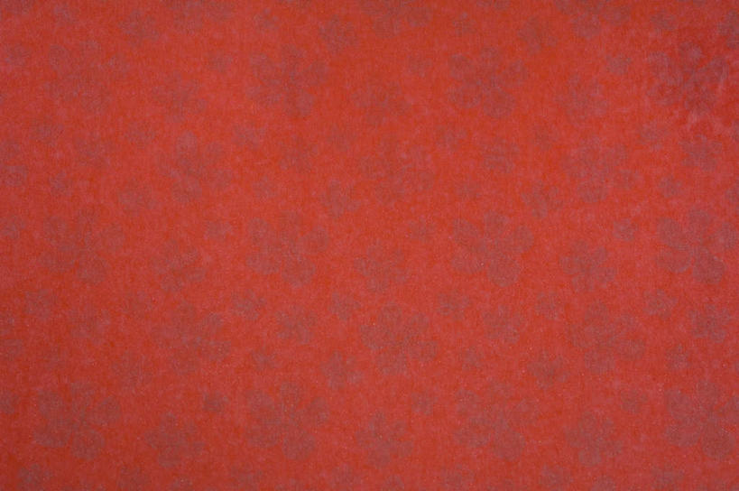 无人,横图,室内,特写,白天,正面,兴奋,热情,静物,阴影,花纹,反射,纹路,图案,纹理,影子,开放,红色,健康,温暖,奔放,活力,积极,激情,朝气,暖色,吉祥,生命,饱满,肌理,革命,热烈,赤色,充实,斗志,喜气,主动,彩图,欢乐