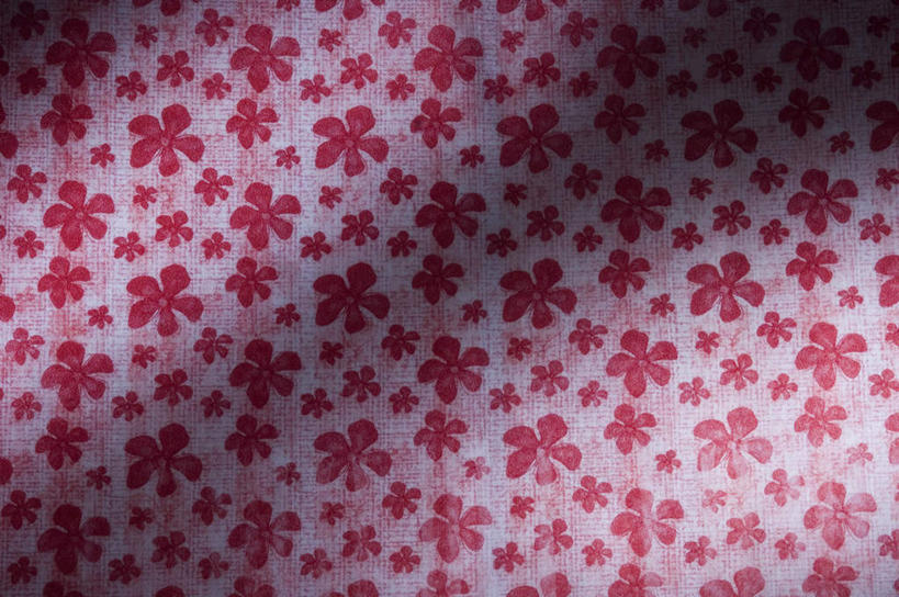 无人,横图,室内,特写,白天,正面,神秘,重复,静物,阴影,花纹,盛开,反射,纹路,图案,纹理,影子,花蕾,花,花瓣,花朵,鲜花,粉色,紫色,花苞,花蕊,优美,庄重,高贵,消极,肌理,冷色,反复,孤寂,彩图,奢华