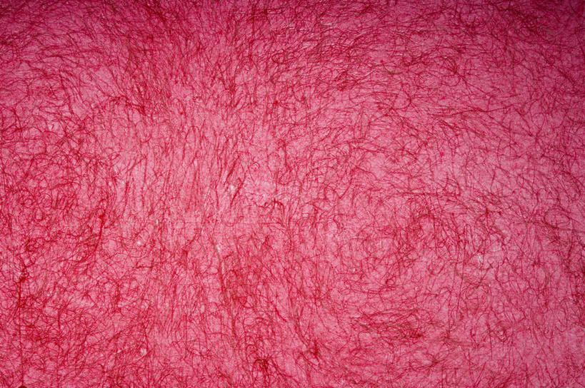 无人,横图,室内,特写,白天,正面,兴奋,热情,静物,阴影,花纹,反射,纹路,图案,纹理,影子,开放,红色,健康,温暖,奔放,活力,积极,激情,朝气,暖色,吉祥,生命,饱满,肌理,革命,热烈,赤色,充实,斗志,喜气,主动,彩图,欢乐