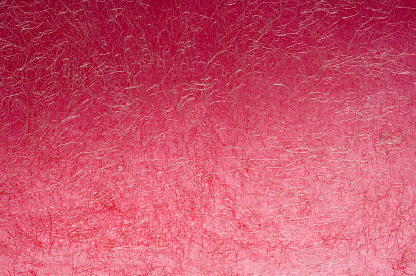 无人,横图,室内,特写,白天,正面,兴奋,热情,静物,阴影,花纹,反射,纹路,图案,纹理,影子,开放,红色,健康,温暖,奔放,活力,积极,激情,朝气,暖色,吉祥,生命,饱满,肌理,革命,热烈,赤色,充实,斗志,喜气,主动,彩图,欢乐